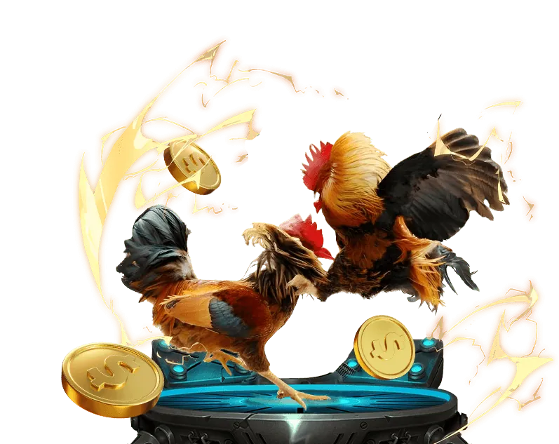 Các chương trình khuyến mãi sh bét